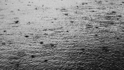 How Does It Feel to Disappear Completely? Bild 2