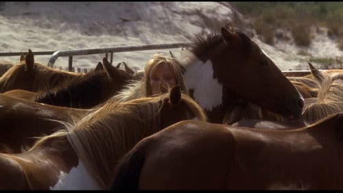 Liebe ist nur eine Illusion Bild 4