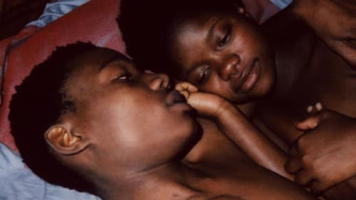 O Ouro e o Mundo Bild 2