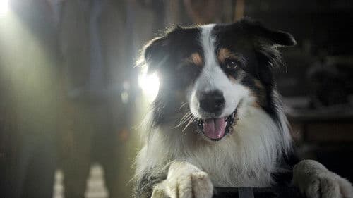 Fünf Freunde 2 Bild 4