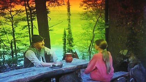 Ptice koje ne polete Bild 2