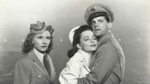 Der Pilot und die Prinzessin Bild 1