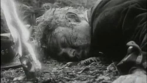 Te Keremutunga o Nga Atua Bild 6