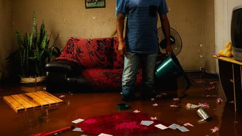 Boulevard Arrudas Bild 1