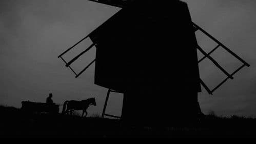 Dünürcülük Bild 1