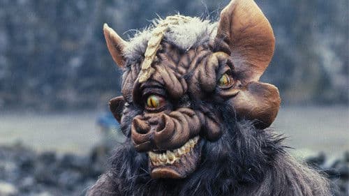 Doctor Who: Time and the Rani Bild 4