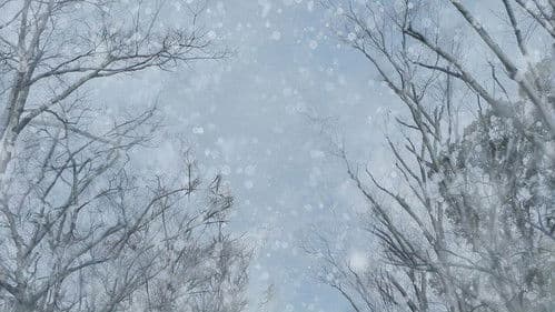 Detektiv Conan Film 28: Der Flashback des Einäugigen Bild 6