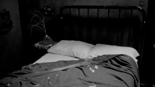 Eraserhead Stories Bild 2