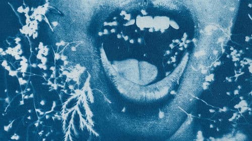 Olivia y las nubes Bild 6