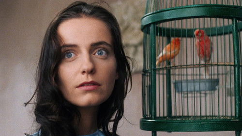 Am Ufer des Flusses Bild 7