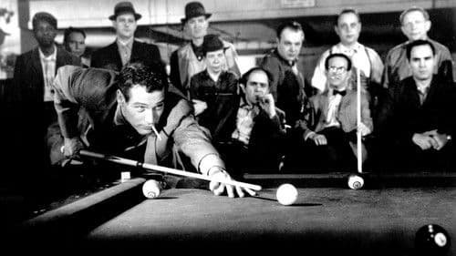 Haie der Großstadt Bild 5