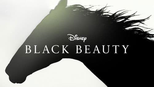 Black Beauty Bild 6