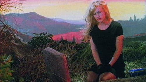 Made in Hollywood Bild 2