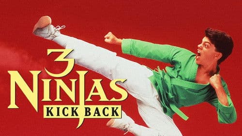 3 Ninjas Kick Back Bild 7