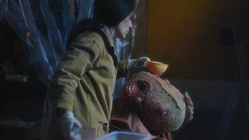 Контакты Bild 3