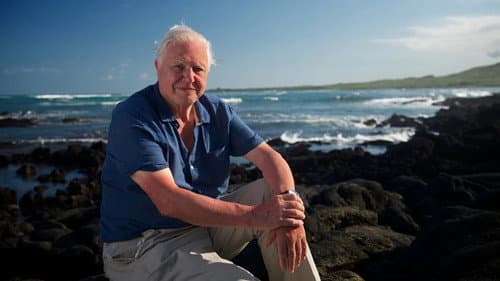 David Attenborough's Global Adventure Bild 2