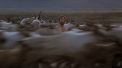 Wenn die Wölfe heulen Bild 2