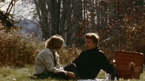 Fin d'un jour d'été Bild 1