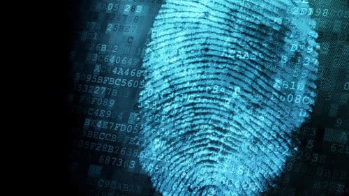 The New Detectives Bild 1