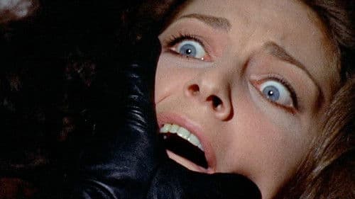 Das Geheimnis der schwarzen Handschuhe Bild 7