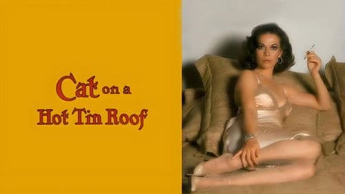 Cat on a Hot Tin Roof Bild 2