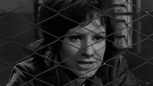 Das Rasthaus der grausamen Puppen Bild 6