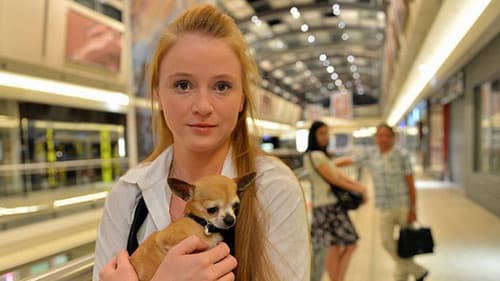 Definice lásky Bild 1