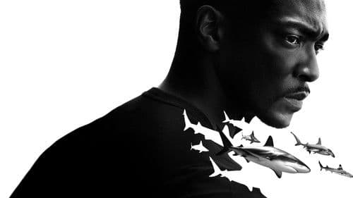 Der Strand der Haie mit Anthony Mackie: Golfküste Bild 1