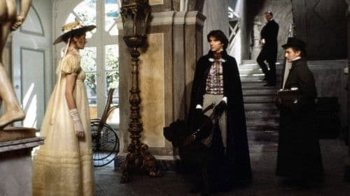 Schwarzer Sommer Bild 2