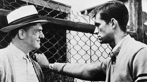 Die Nacht kennt keine Schatten Bild 4