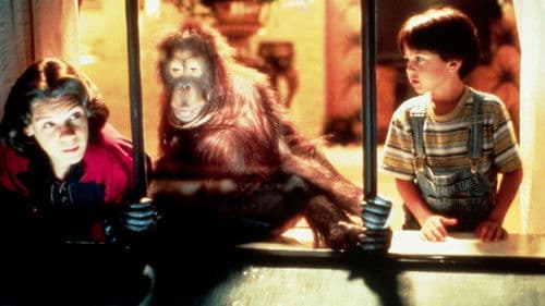 Dunston - Allein im Hotel Bild 5