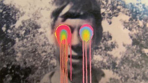 The Flaming Lips: American Head Bild 1