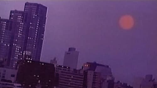 Turtle Vision Bild 7