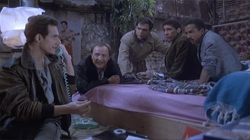 Le téléphone sonne toujours deux fois Bild 7