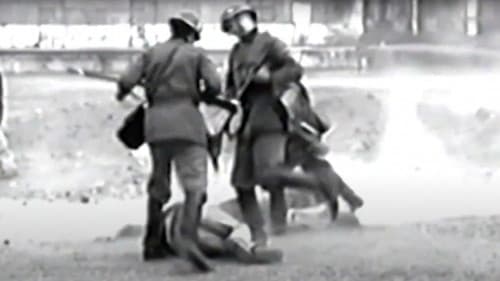 Campo neutral Bild 1