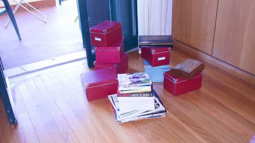 Shadows of the Past Bild 1