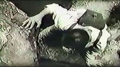 Tintarella di Luna Bild 7