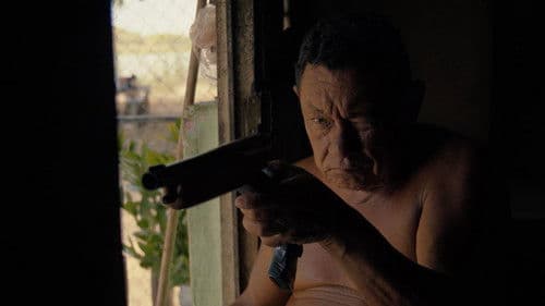 Audio y el Caimán Bild 7