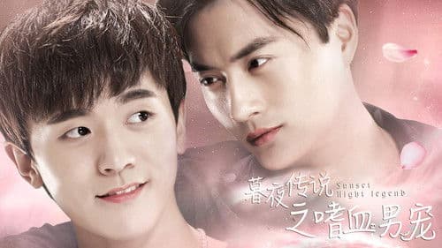 暮夜传说之嗜血男宠 Bild 4