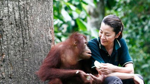 Among the Great Apes with Michelle Yeoh Bild 1
