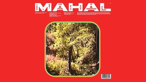 Toro y Moi: MAHAL (Live from Big Sur) Bild 2