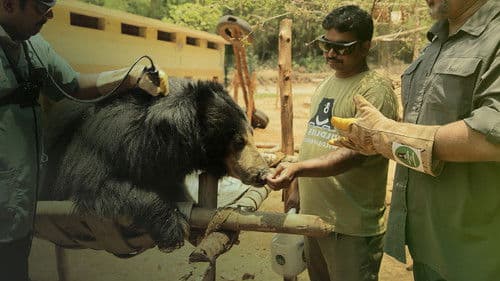 Jungle Animal Rescue Bild 4