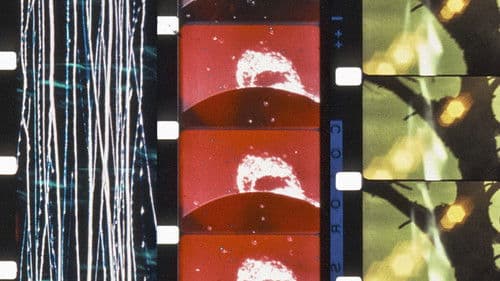 The Art of Vision Bild 8