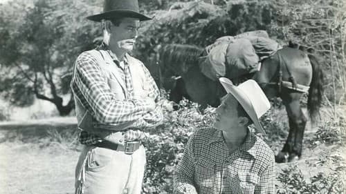 Call of the Forest Bild 1