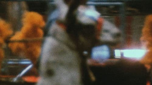 Notes on the Circus Bild 1