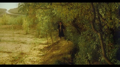 Derakhte Golabi Bild 3