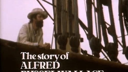 The Forgotten Voyage: The Story of Alfred Russel Wallace Bild 1