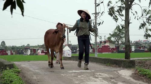 Special Delivery Bild 7