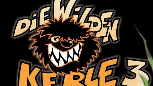 Die Wilden Kerle 3 Bild 6