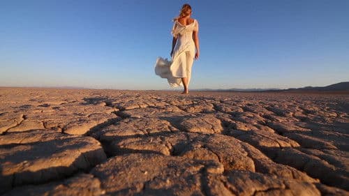 The Outwaters Bild 1